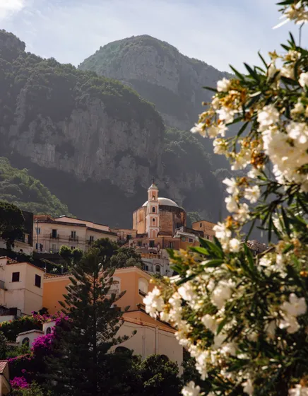A hillside town seen through flowering shrubs