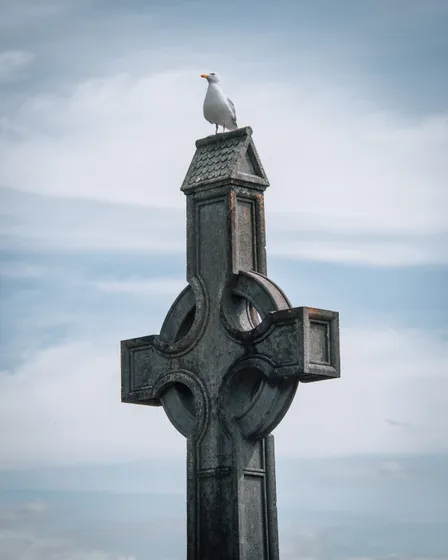 A Celtic cross with a gull perched on top