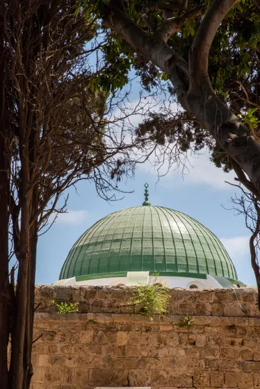 A green dome seen between two trees above a stone wall