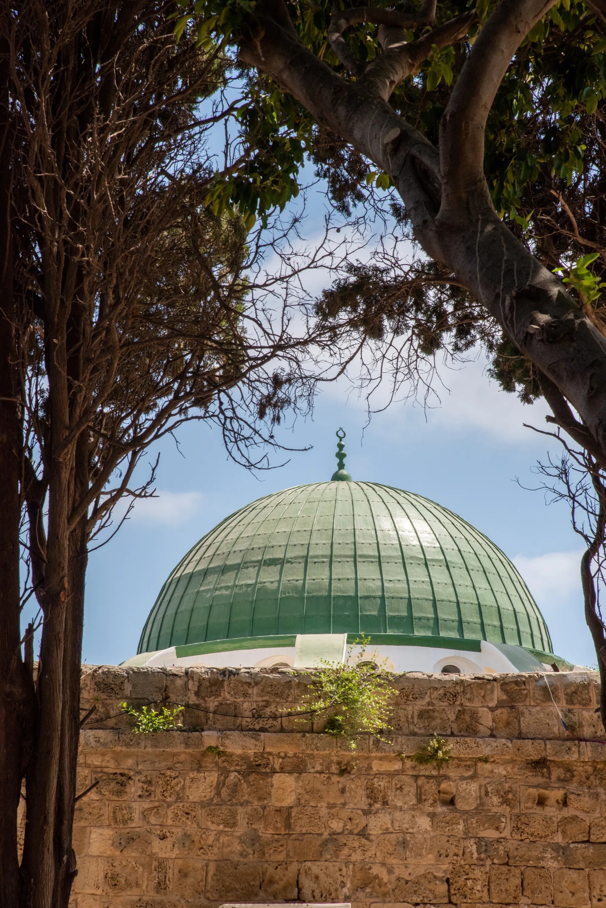 A green dome seen between two trees above a stone wall
